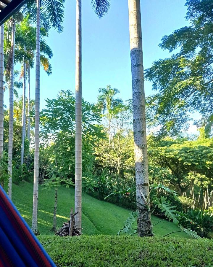 Tierra Negra Suite Pereira Exterior photo